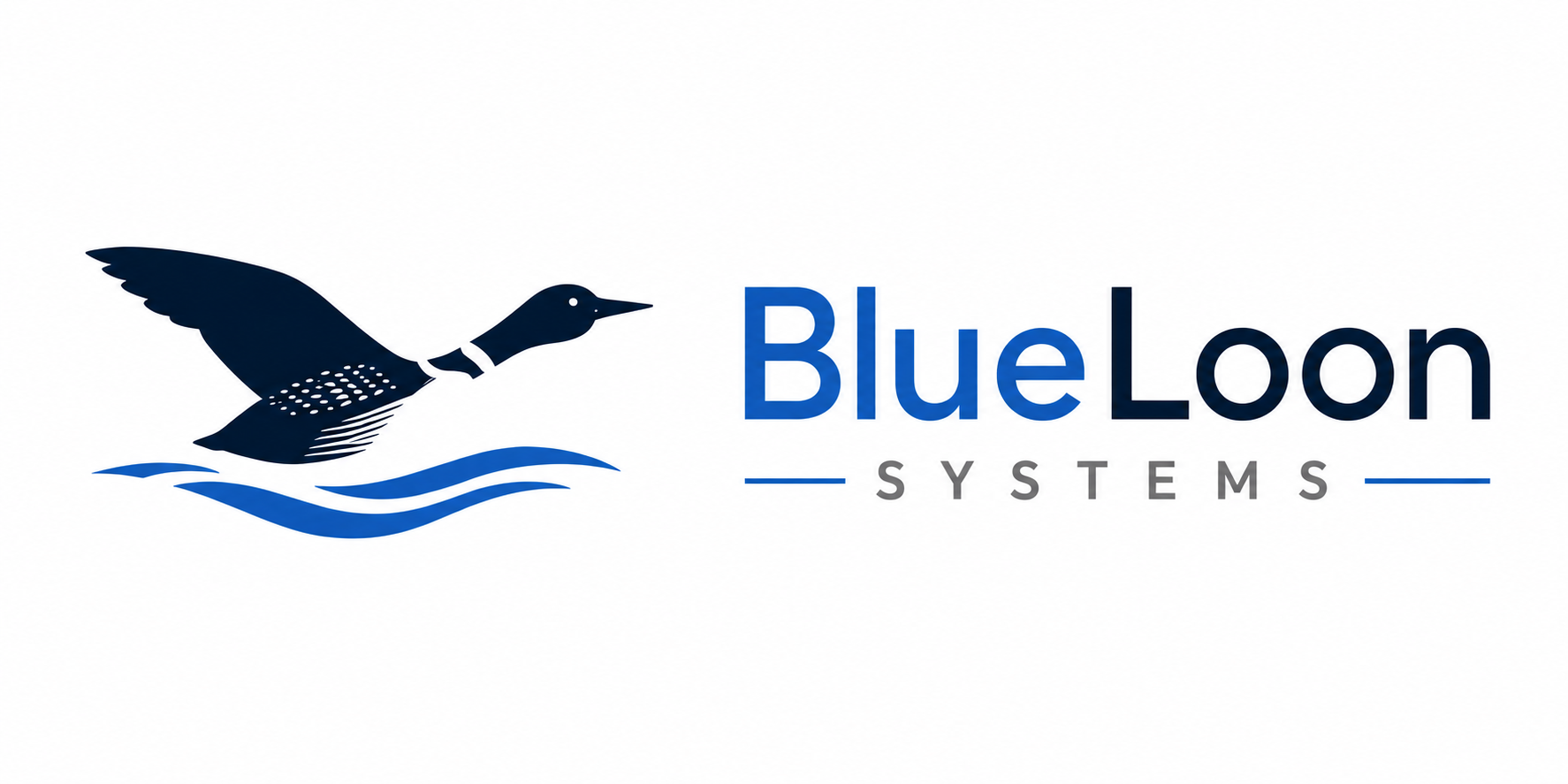 Blue Loon Systems logo